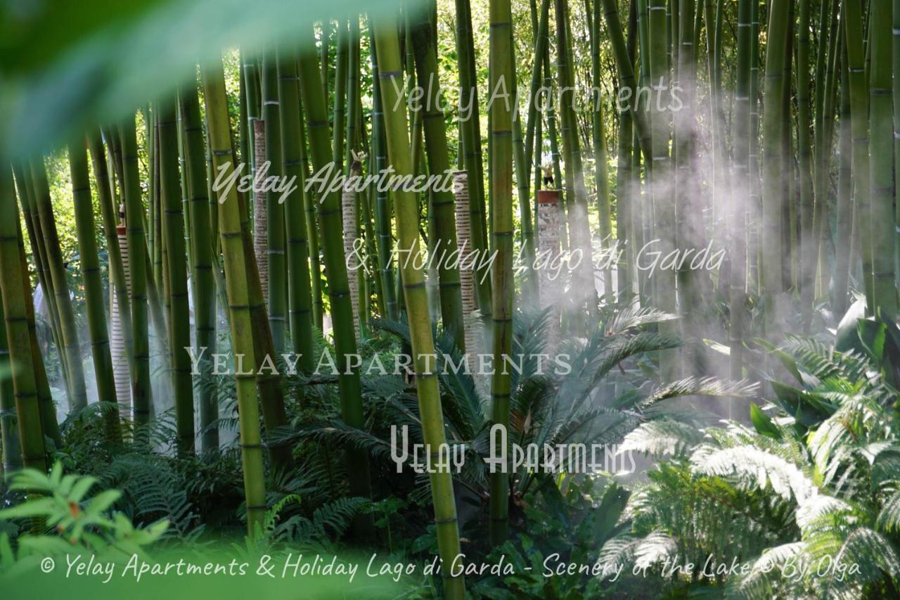 Yelay Apartments & Holiday Lago Di Garda 라파 외부 사진