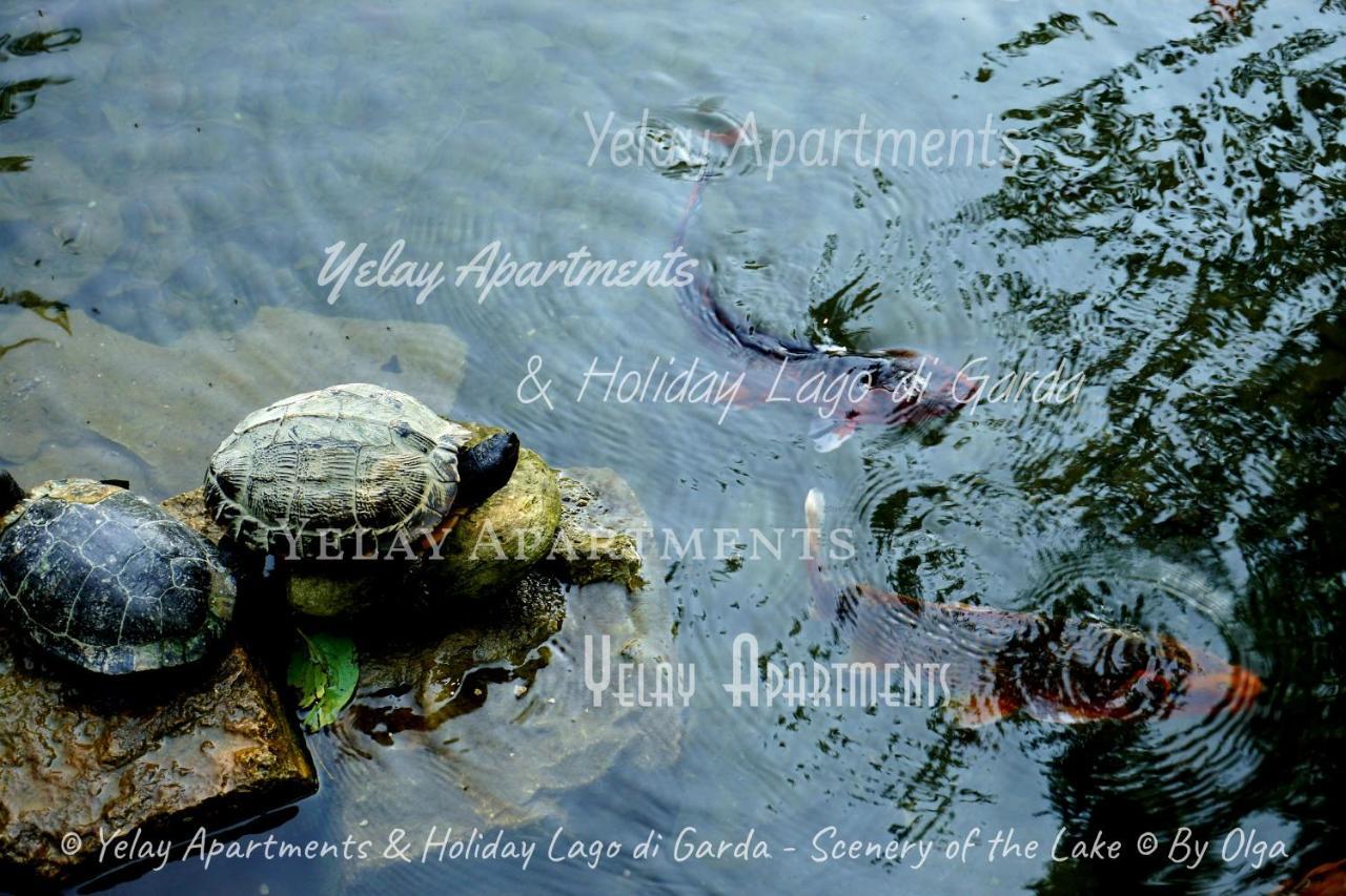 Yelay Apartments & Holiday Lago Di Garda 라파 외부 사진
