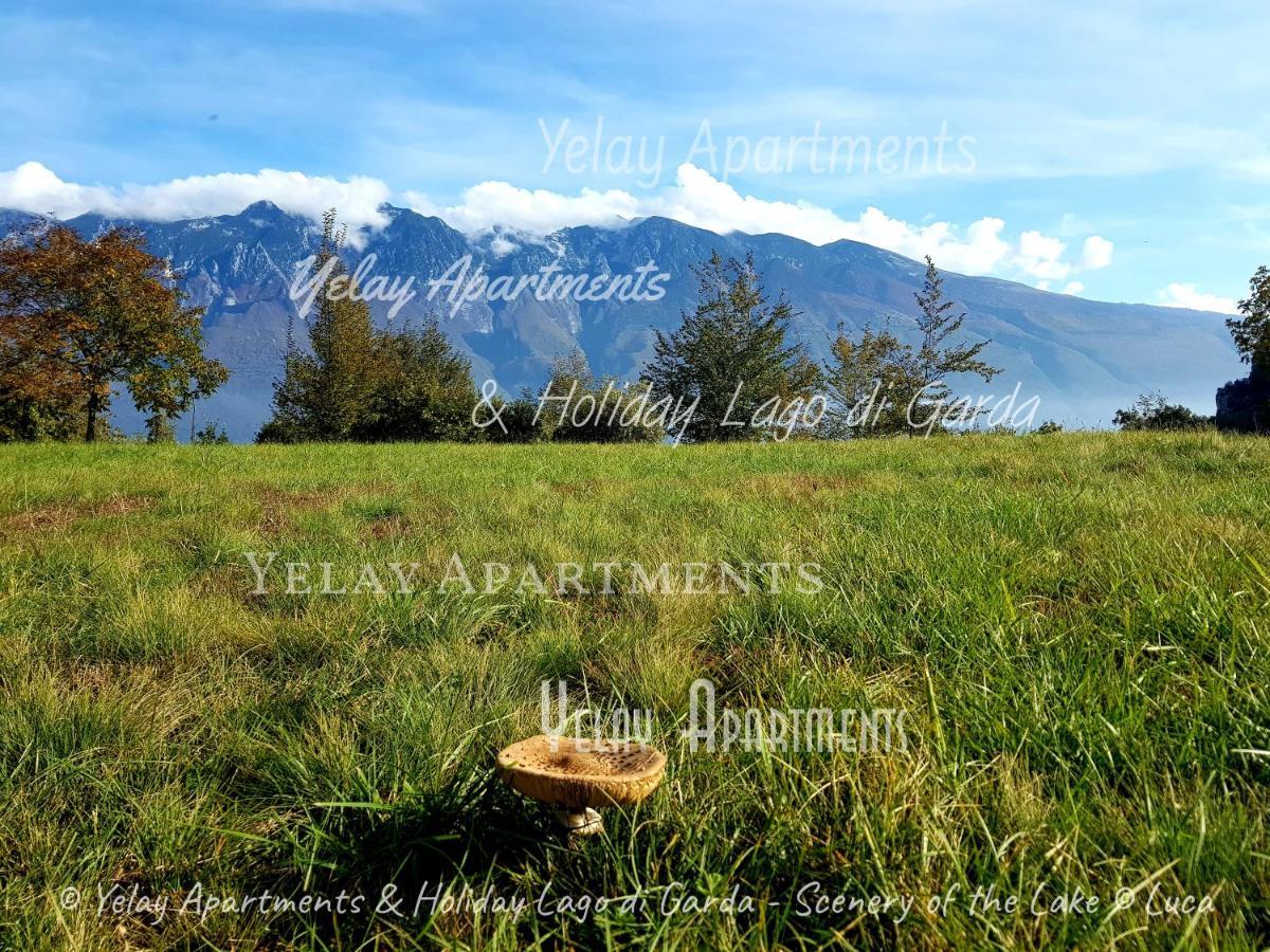Yelay Apartments & Holiday Lago Di Garda 라파 외부 사진
